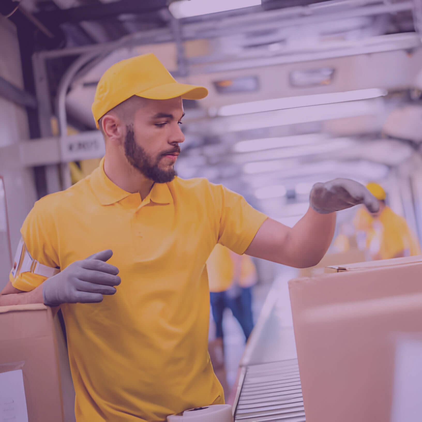 Imagen de Tenemos procesos flexibles y adaptables